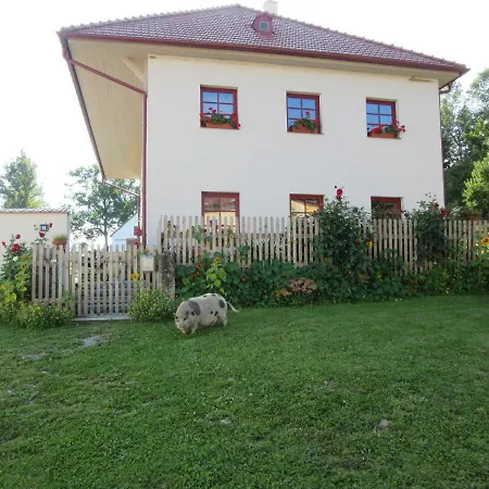 Praschlhaus Apartment *