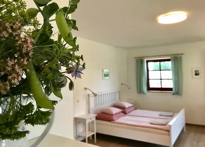 Praschlhaus Apartment *