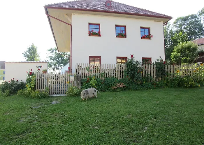 Praschlhaus Apartment *